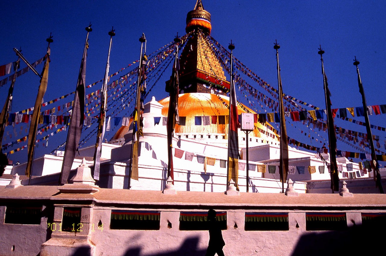 tet